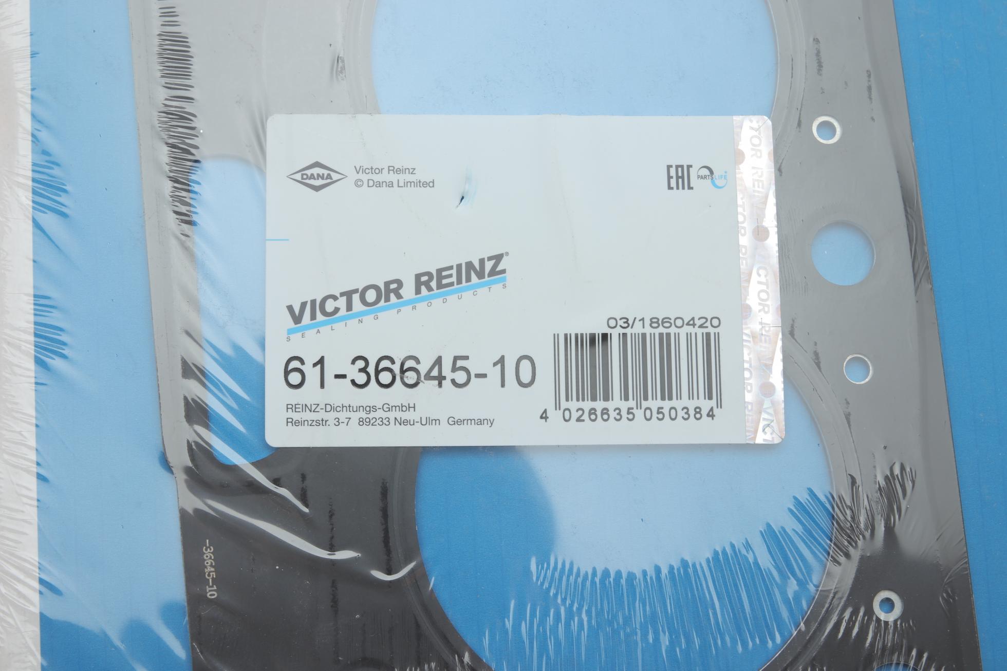 613664510 VICTOR REINZ